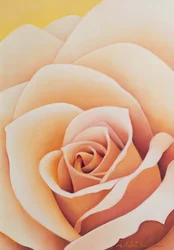 Die Rose, 2003